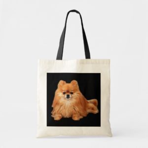 Pomeranian Tote Bag
