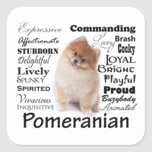Pomeranian Traits Stickers