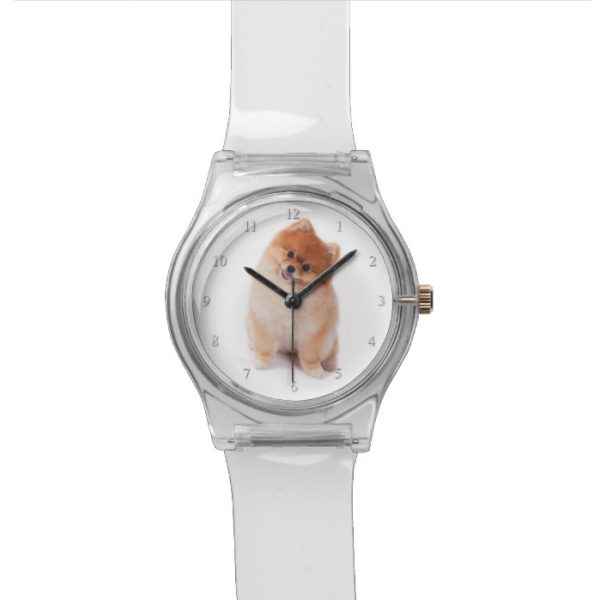 Pomeranian Watch