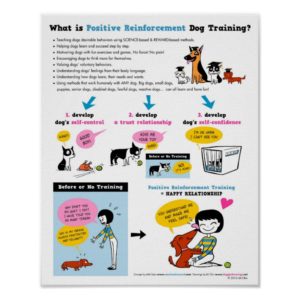Positive Reinforcement Dog Training 16" x 20" Poster