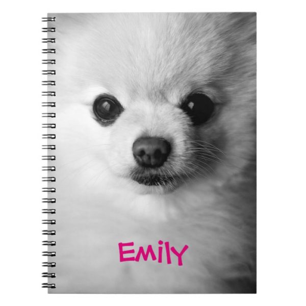 Precious Pomeranian Notebook