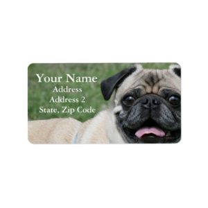 Pug Address Labels