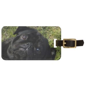 pug black bag tag