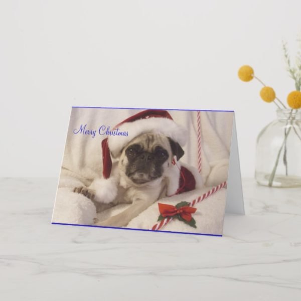 Pug Christmas Card