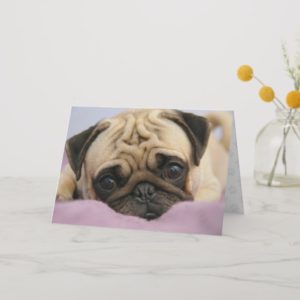 Pug Dog Greeting Card