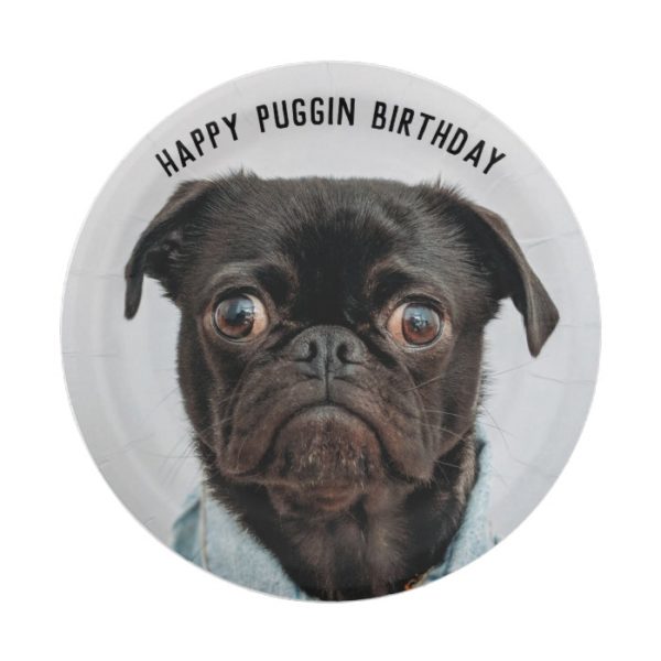Pug dog party paper plate