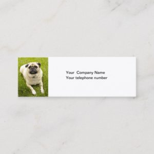 Pug dog photo custom business cards