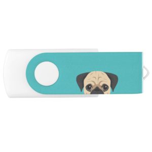 Pug Dog Portrait illustration USB Flash Drive
