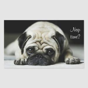 Pug Dog Rectangle Glossy Sticker