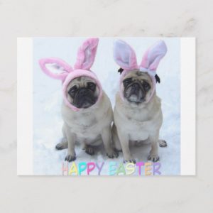 Pug Easter Bunny Holiday Postcard