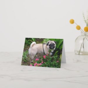 Pug Puppy Dog Blank Greeting Note Card