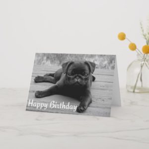 Pug Puppy Dog Happy Birthday Card - Black & White