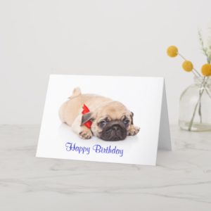 Pug Puppy Dog Happy Birthday Card - Verse inside