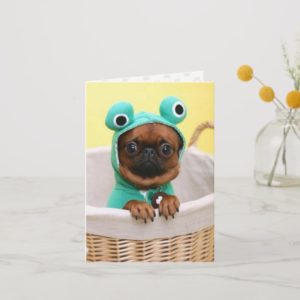 Pug Puppy Dog Note Cards