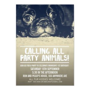 Pug Puppy Dog Party Invite [Full Bleed Photo]