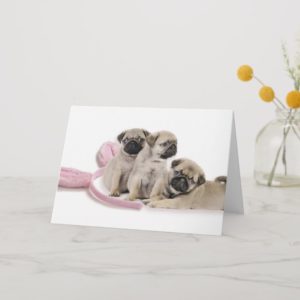Pug Puppy Easter Card