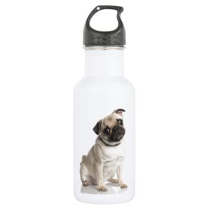 Pug Stainless Steel Water Bottle