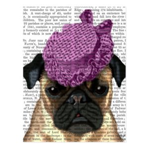 Pug with Vintage Purple Hat Postcard