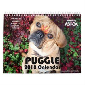 Puggle! 2019 Calendar