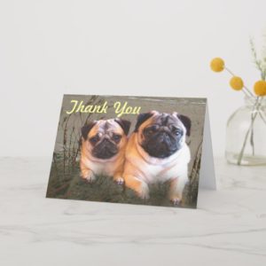 Pugs and Kisses Thank You Card