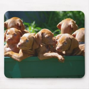 Puppies Mouse Pad