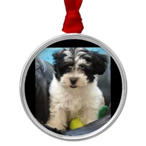 Puppy with Tennis Ball  Rescue Metal Ornament