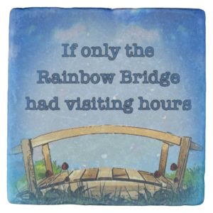 Rainbow Bridge Stone Coaster