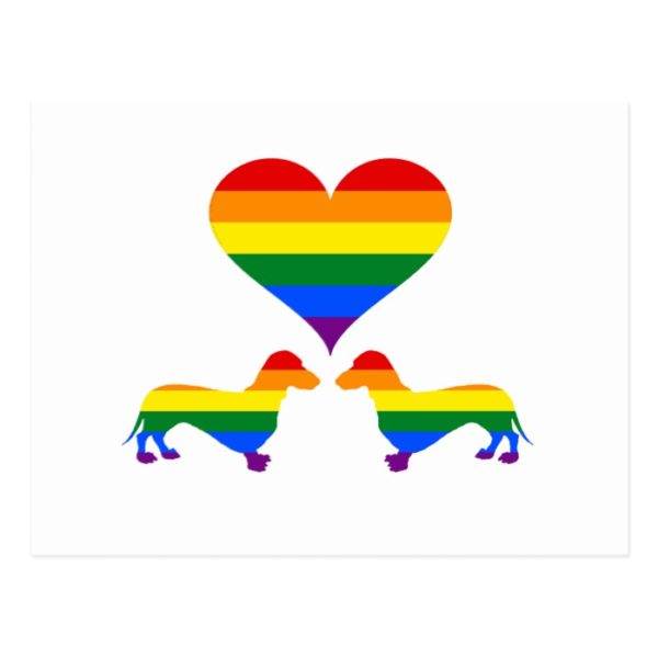 Rainbow dachshunds postcard