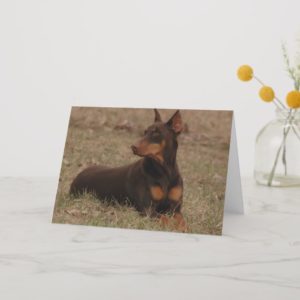 Red and Rust Doberman Card