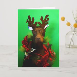 Red Doberman Christmas Card