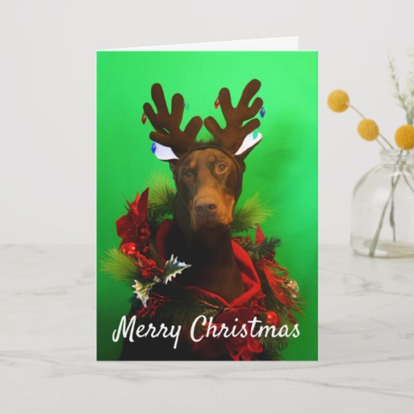 Red Doberman Christmas card