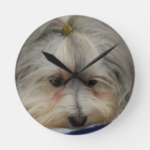 Resting Havanese Dog Round Clock