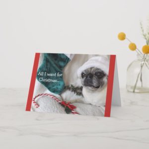 Romantic Pug Christmas Card