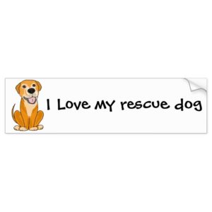 RR- Cute Funny Rescue Dog Puppy Cartoon Bumper Sticker