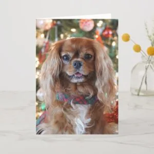 Ruby Christmas Holiday Card
