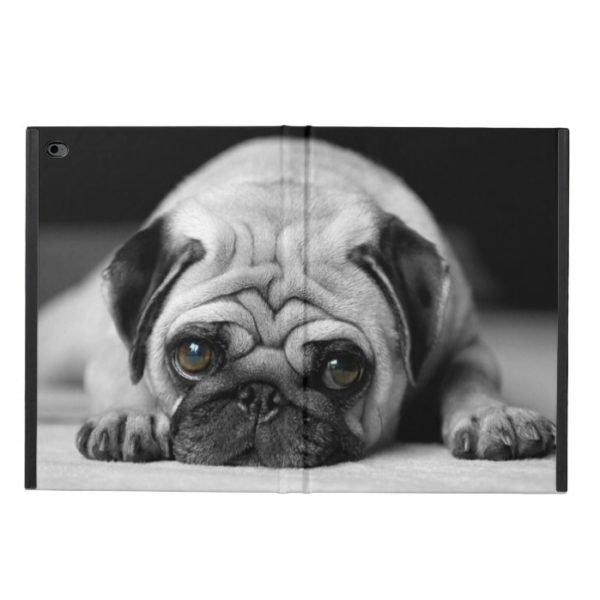 Sad Pug Powis iPad Air 2 Case