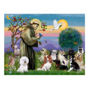 Saint Francis with 10 Dogs Postcard