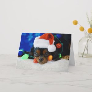 Santa Baby Holiday Card