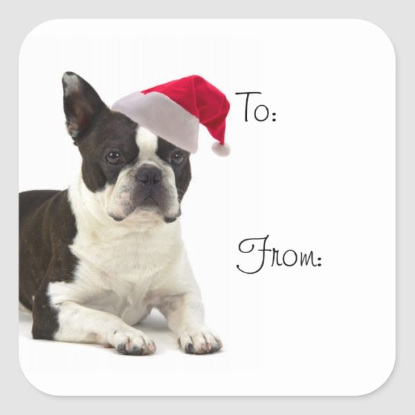 Santa Boston Terrier Gift Stickers