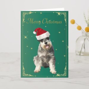 Schnauzer dog in santa hat holiday christmas card