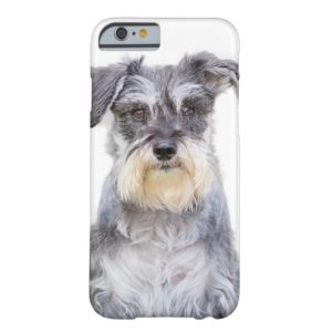 Schnauzer Dog iPhone 6 Case