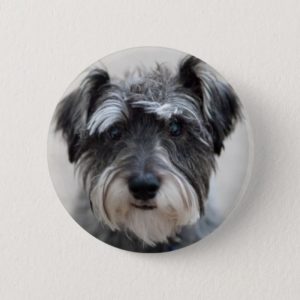 Schnauzer Dog Round Pin