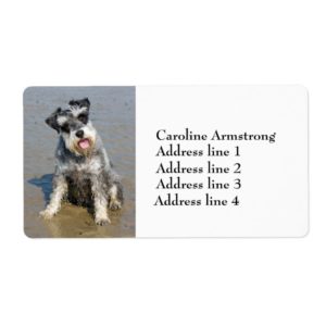 Schnauzer miniature dog custom address labels