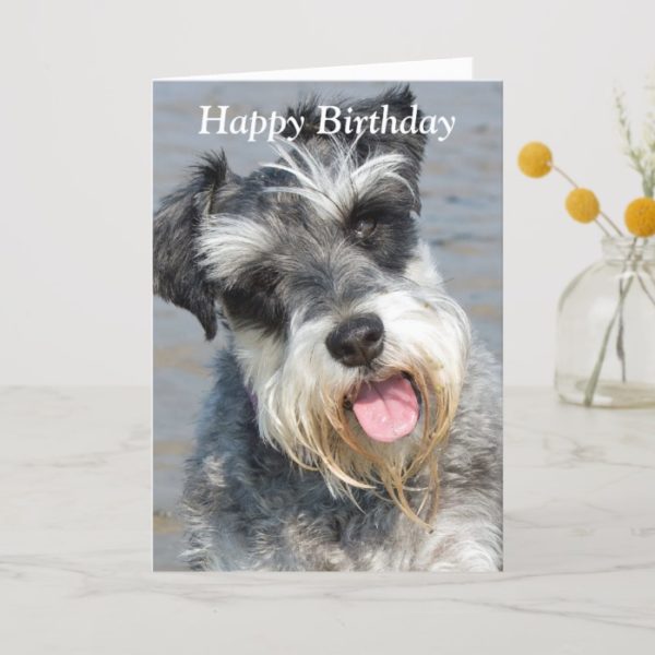 Schnauzer miniature dog photo birthday card