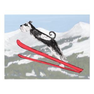Schnauzer on Skis! Postcard