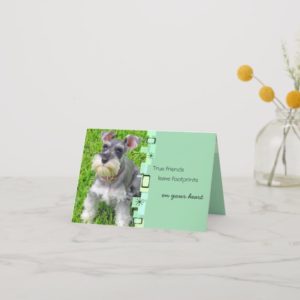 Schnauzer Puppy Birthday Greeting Card