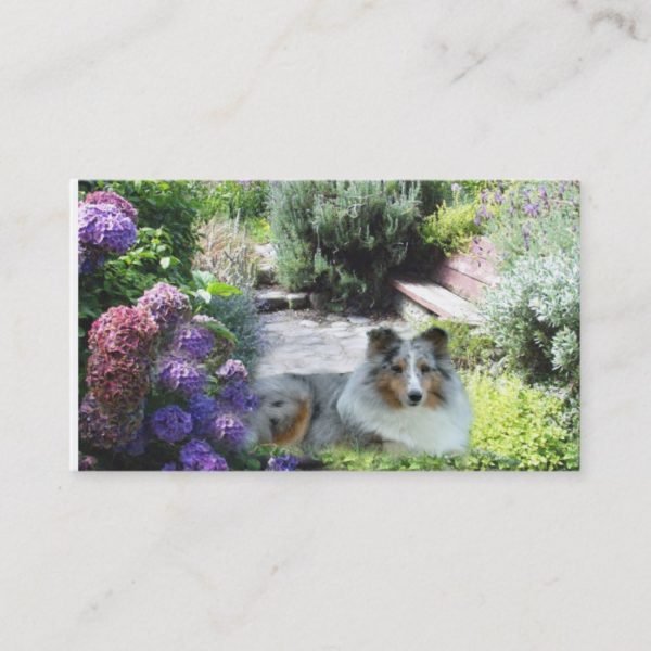 Sheltie Breeder Business Card