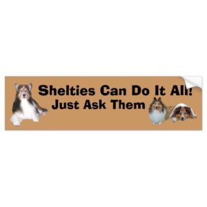 Sheltie Bumper Sticker