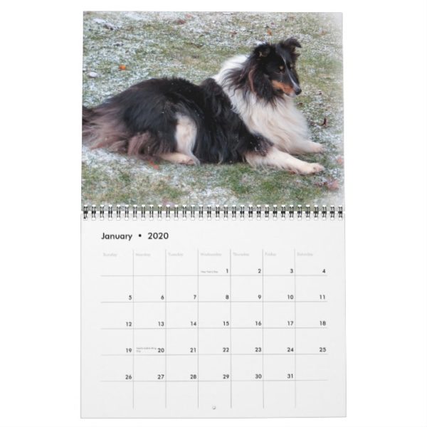 Sheltie Calendar 2015