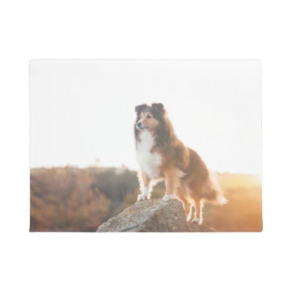 Sheltie on Cliff protectng heard during sunset Doormat